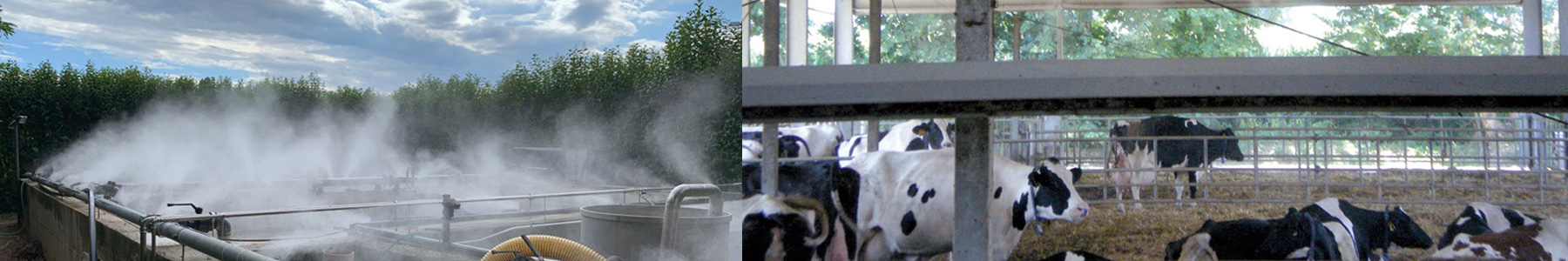 Risparmio energetico Cremona