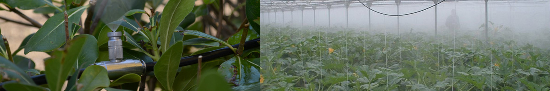 Irrigazione e cura delle colture Cremona